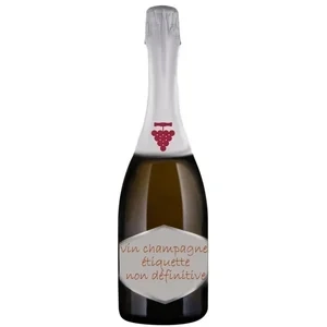 Champagne Moët & Chandon Brut
Caisse Bois