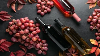 Vins
