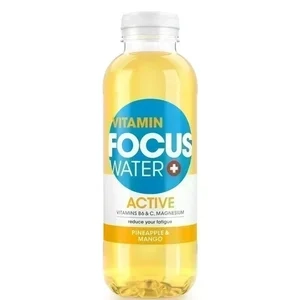 Focuswater Active Ananas & Mangue Pet 12-Pack 